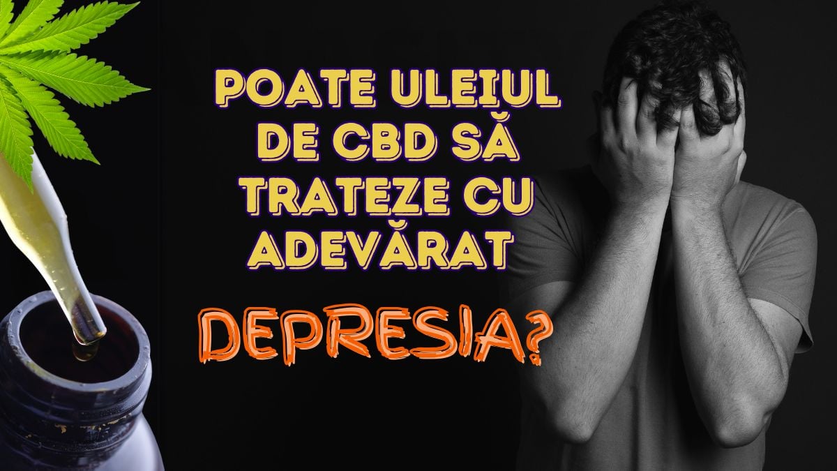 O persoană privind spre lumina soarelui care pătrunde pe o fereastră, simbolizând speranța și ieșirea din întuneric în lupta împotriva depresiei, cu sprijinul CBD.