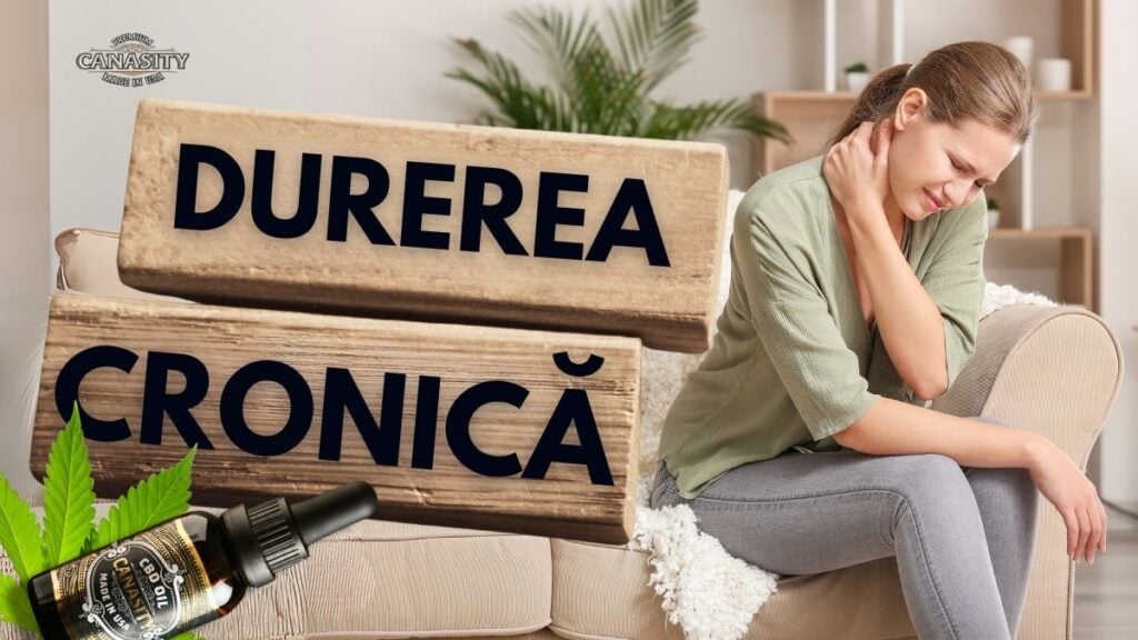 CBD PENTRU DURERE CRONICĂ: CE SPUNE ȘTIINȚA ȘI CUM FUNCȚIONEAZĂ CU ADEVĂRAT?