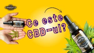 Ce este uleiul CBD? 10 diferențe între uleiul CBD și uleiul din semințe de cânepă