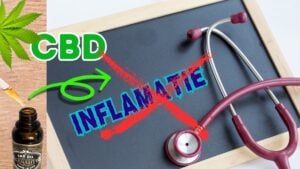 O persoană care își masează articulația dureroasă lângă o sticlă de ulei CBD, simbolizând ameliorarea inflamației în corp.